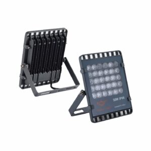 Projecteur 30W 防水投光灯