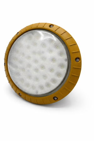 Projecteur LED à Haute Résistance – Modèle Circulaire Renforcé